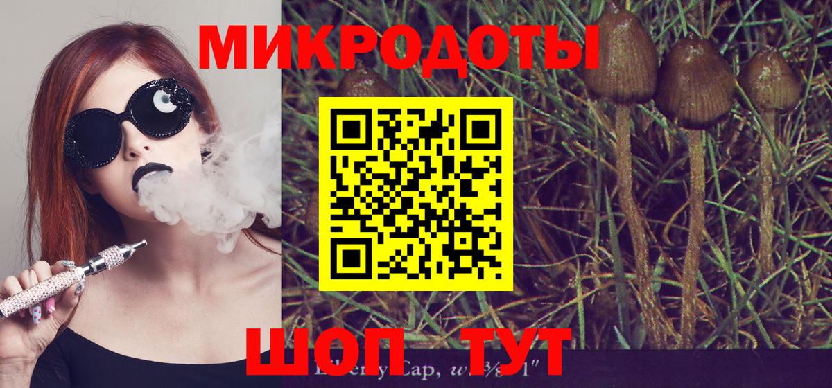 Ступино  Псилоцибиновые грибы прущие грибы  Вход с VPN  Псилоцибиновые грибы Psilocybine cubensis 