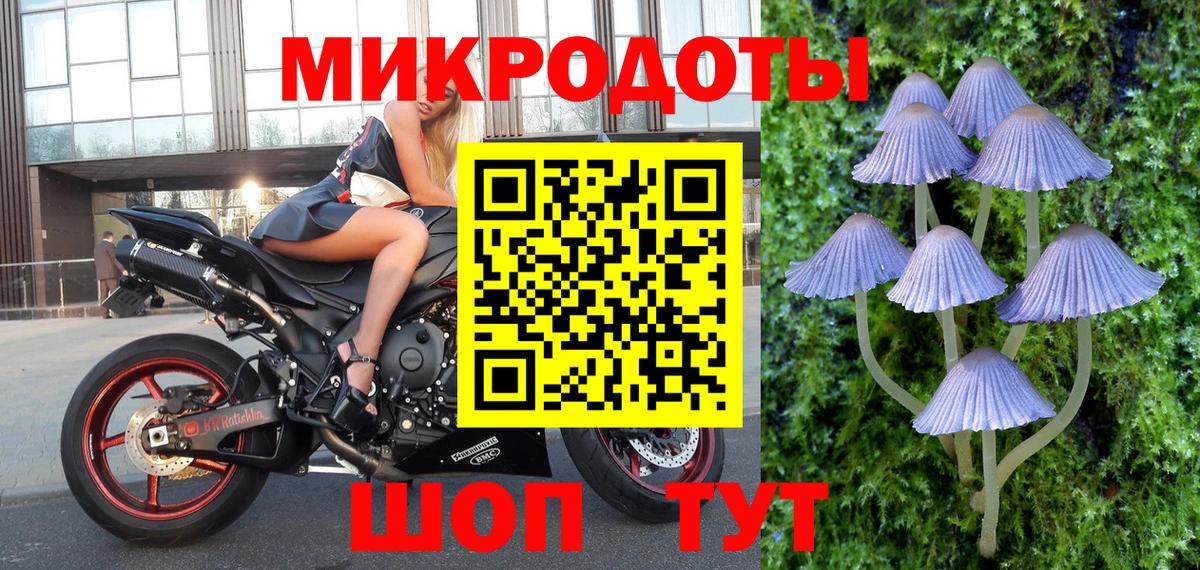 Галлюциногенные грибы прущие грибы Ступино